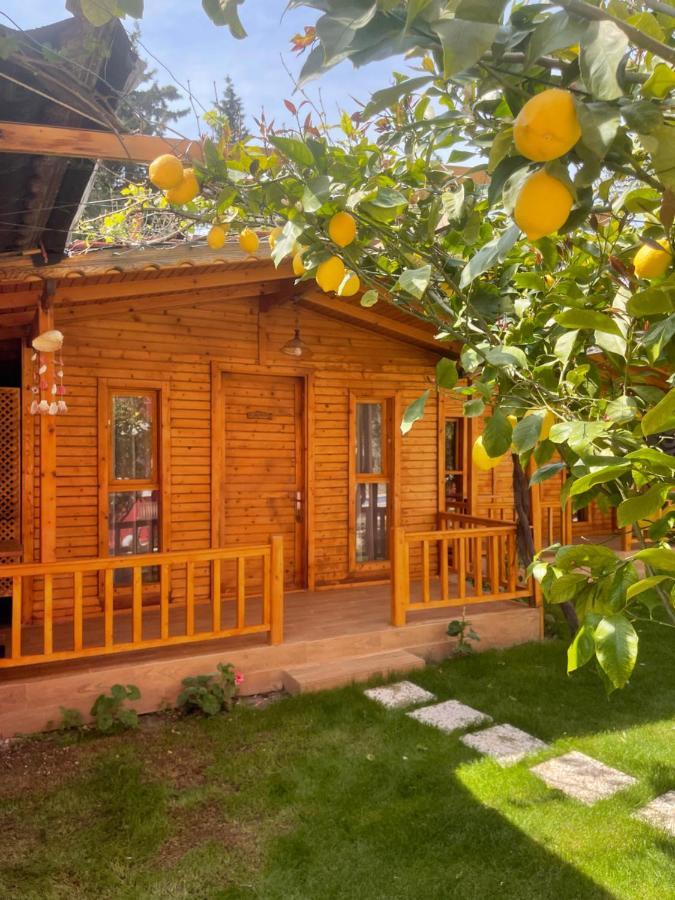 Cilek Butik Отель Кешме